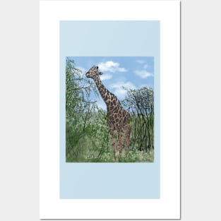 Botswana Hwange national park Posters and Art